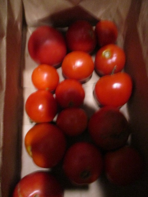 Fresh red tomatoes in paper bag